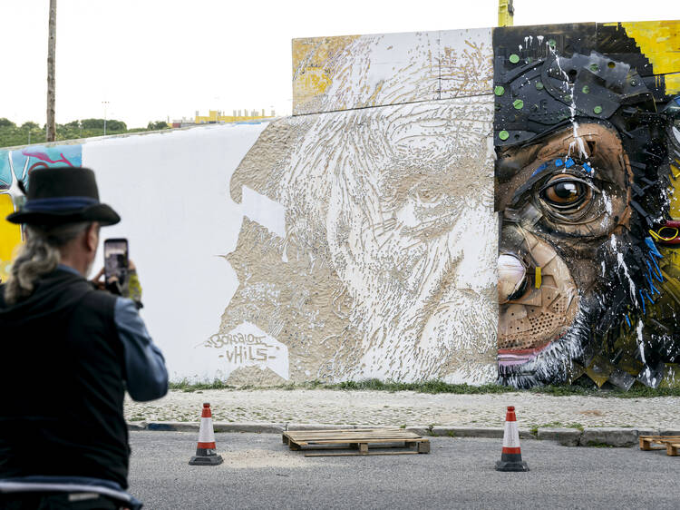 Metade Vhils, metade Bordalo II: um macaco chegou a Xabregas