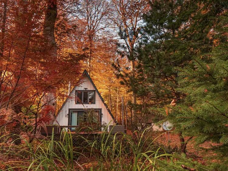 The 15 coziest Airbnb cabin rentals in the U.S.