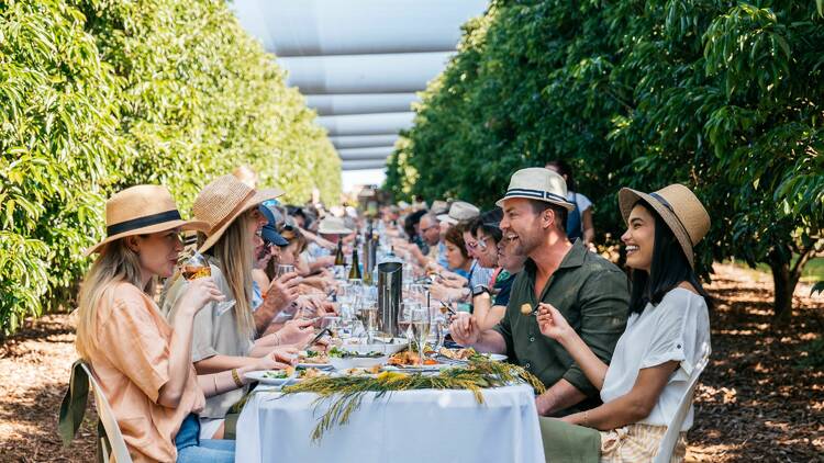 Celebrate Glass House Country Long Lunch hosted at Yandalla Farms