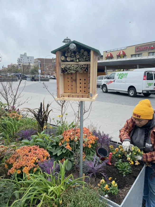 A bee treehouse