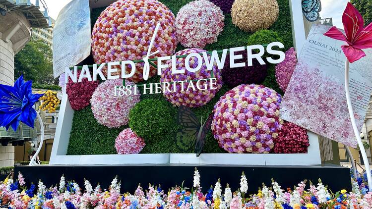 Naked Flowers Hong Kong Art Exhibition