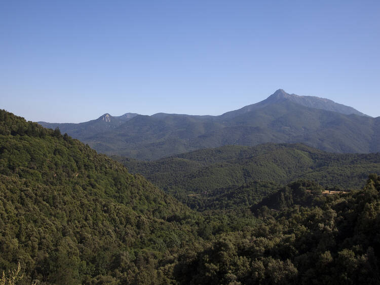 Conectad con el bosque en la Reserva de la Biosfera del Montseny