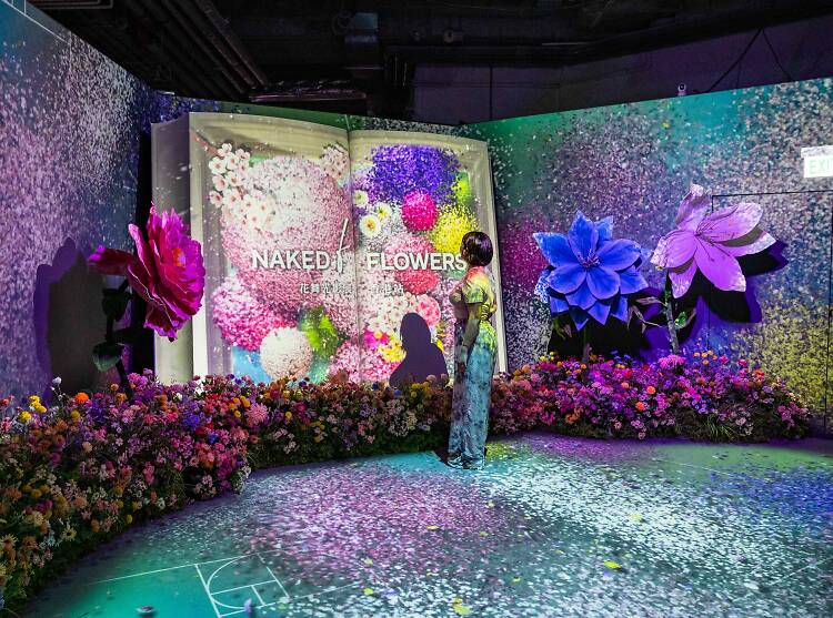 A complete guide to the Naked Flowers Hong Kong exhibition