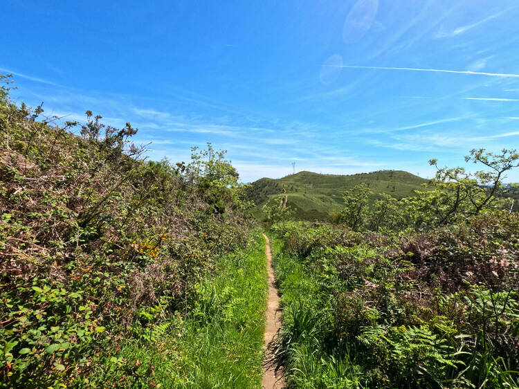 Trilhos de Venda do Pinheiro: Serra da Atalaia e Monte Leite