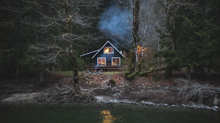 South Fork Cabin nestled in the woods on the edge of a lake.