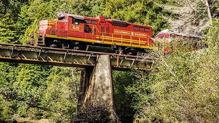 Skunk Train