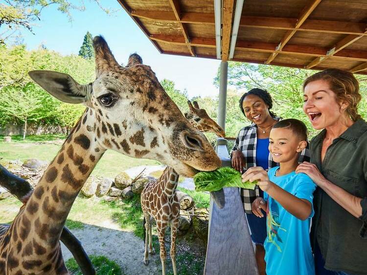 Oregan Zoo | Portland, OR