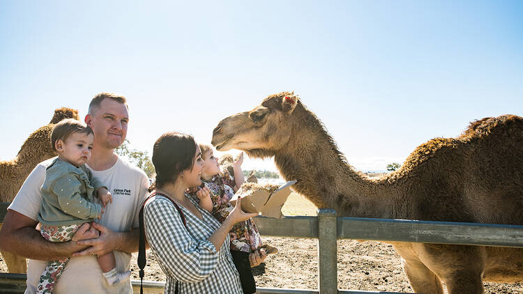 Scenic Rim Eat Local Month