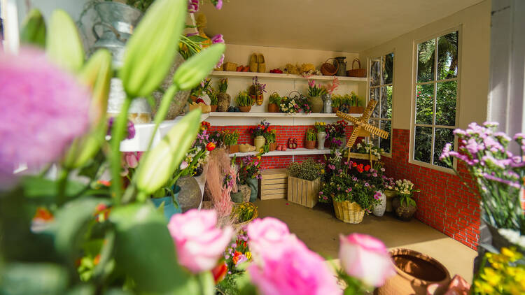 A glimpse into a room filled with colourful tulips