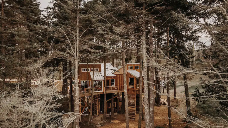 Large treehouse rental nestled in the woodlands in Port Angeles. 