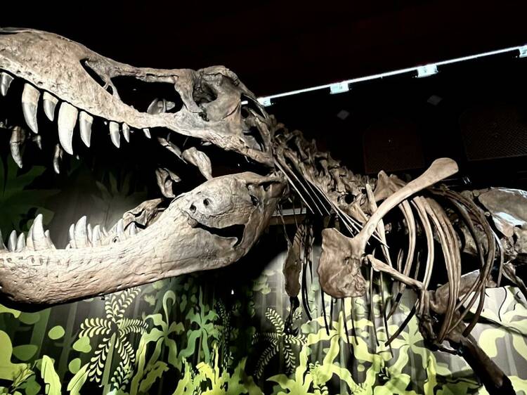 Un dinosaurio de seis metros, protagonista de la exposición gratuita 'Cazadores de Dragones'