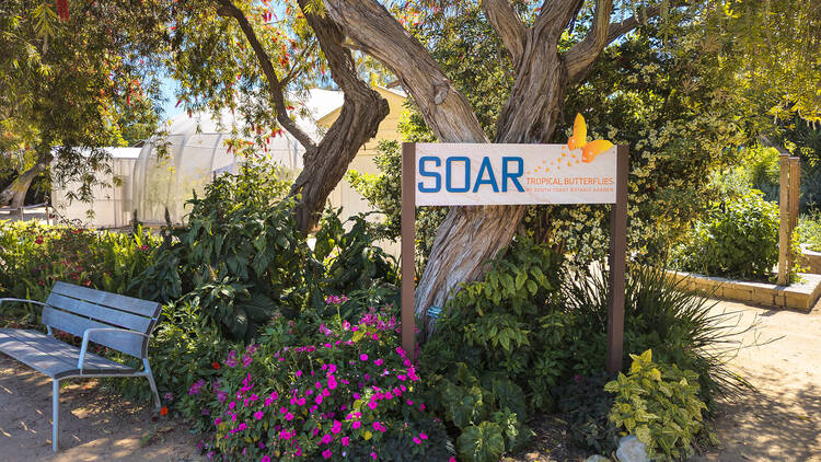 SOAR at South Coast Botanic Garden
