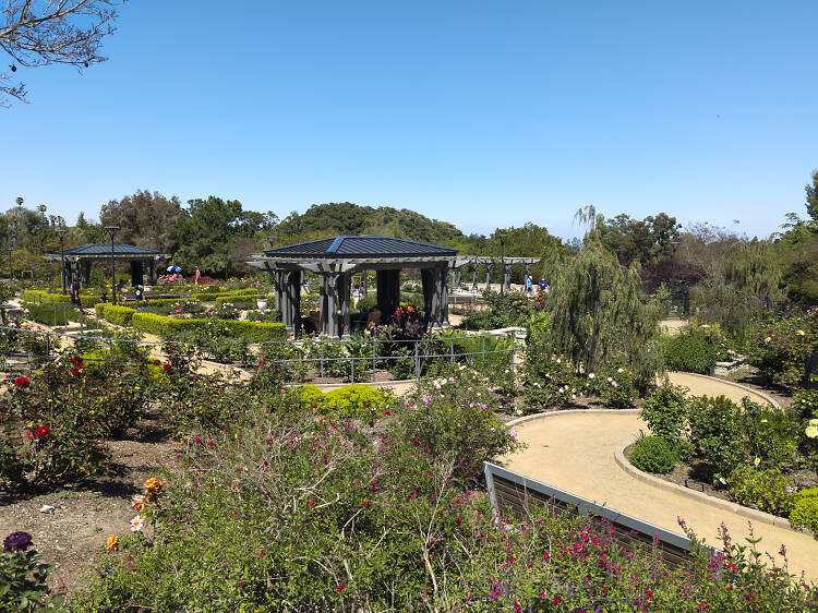 South Coast Botanic Garden