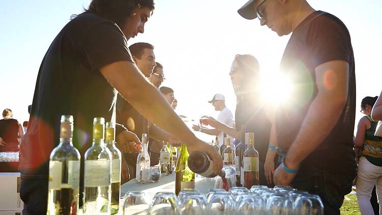 Friday Night Wine Tastings