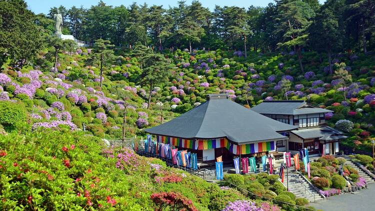 Shiofune Kannonji Temple