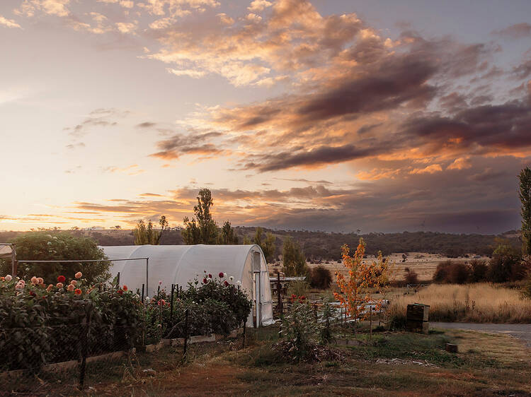 The 7 best Airbnbs in Canberra