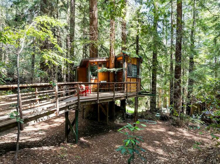 The forest treehouse in Watsonville