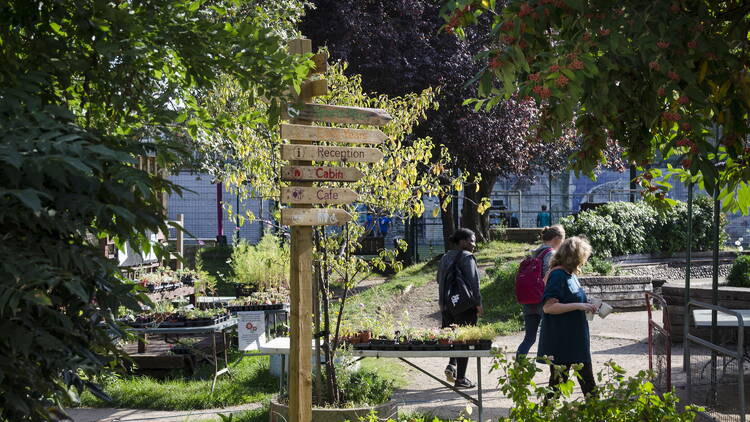 7. Urban Food Growing