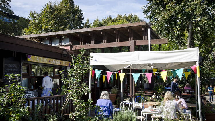 Calthorp Project is a community garden in Kings Cross.