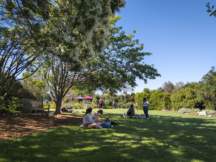 Spend time with your dog at the South Coast Botanic Garden
