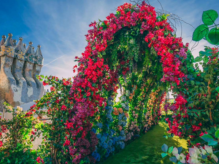 La Casa Batlló instala un andamio con una pérgola de flores en la azotea y organiza unas visitas especiales