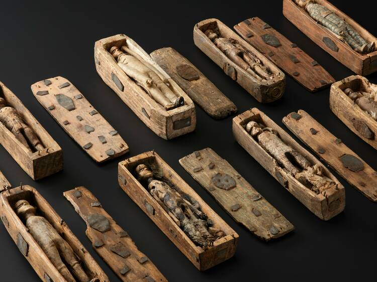 1. Miniature Coffins at the National Museum of Scotland