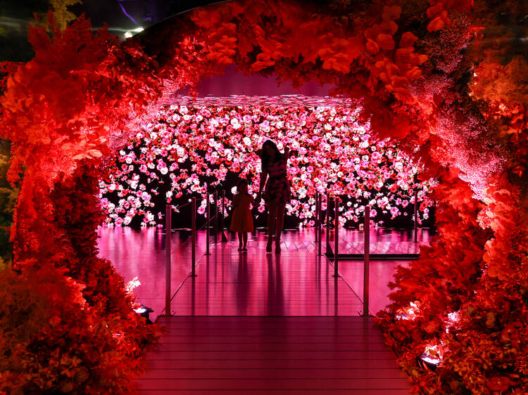 Walk through this Instagram-worthy free floral exhibit in Manhattan