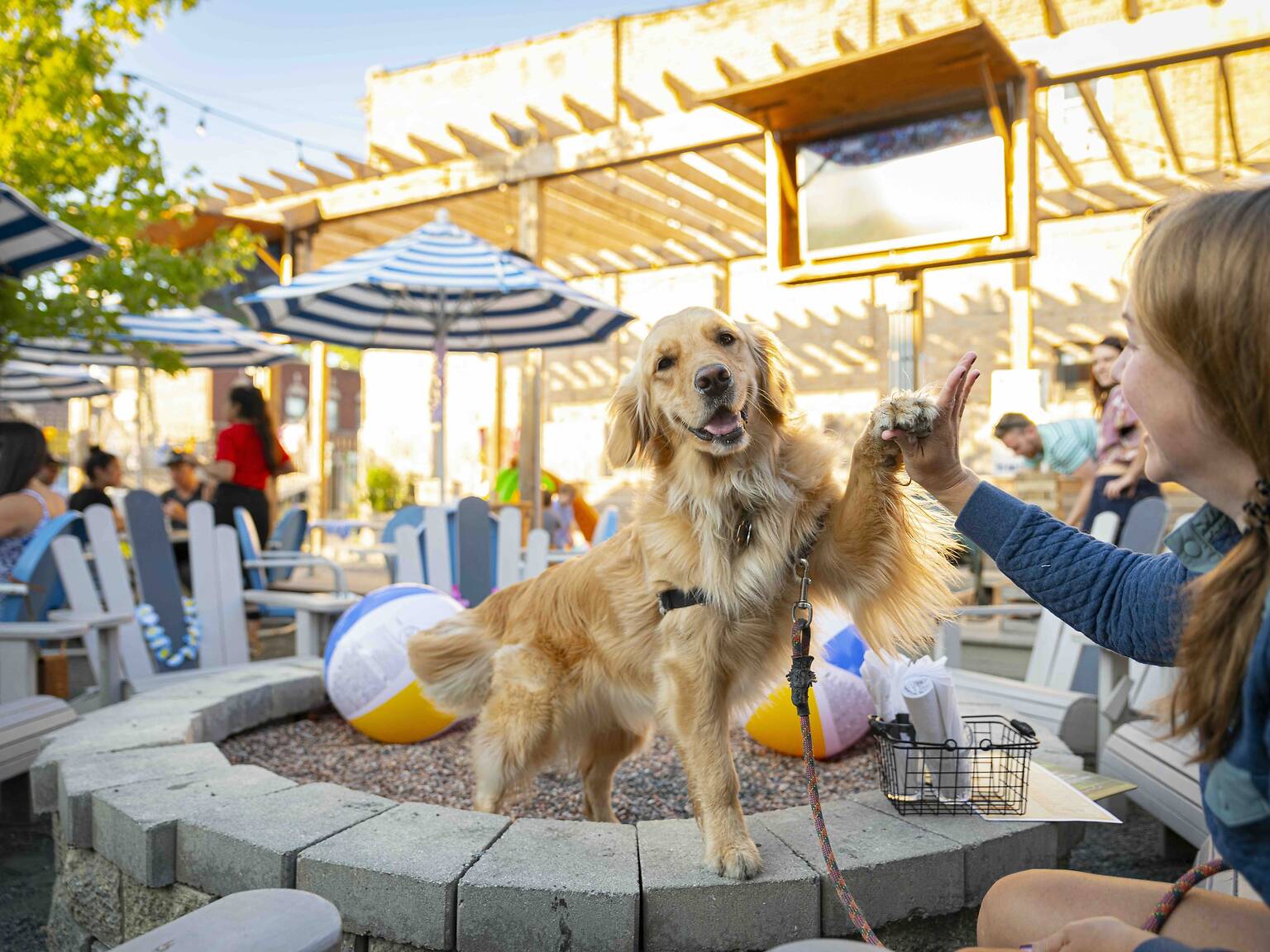 Restaurants near me outdoor discounts seating dog friendly