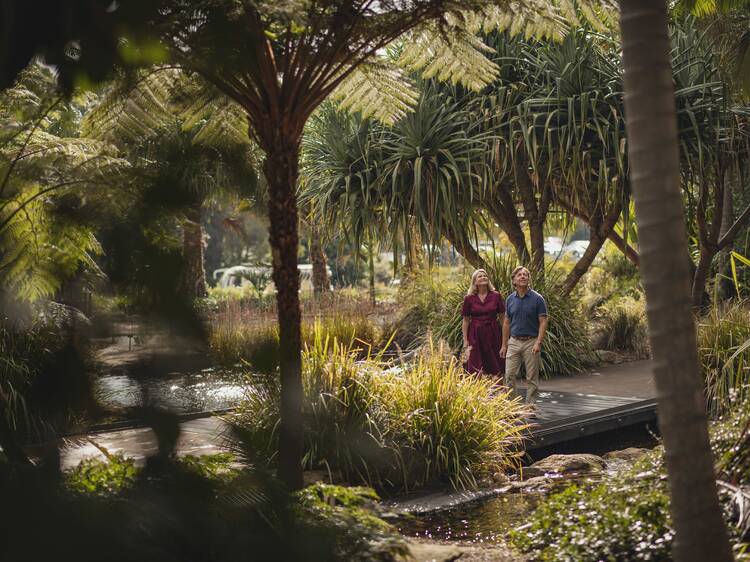 The Australian Botanic Garden, Mount Annan