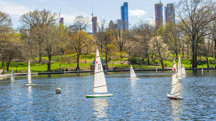 Toy boat in the pond at Central Park Model Boat Sailing in Central Park in New York,USA