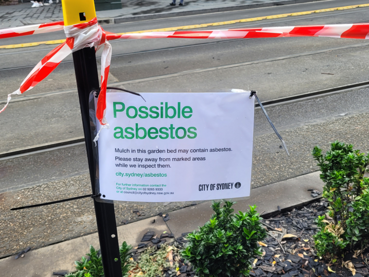 More than 5 months after asbestos was discovered in Sydney, sites are still contaminated
