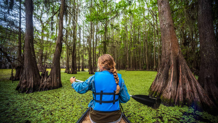 Caddo Lake State Park, Karnack