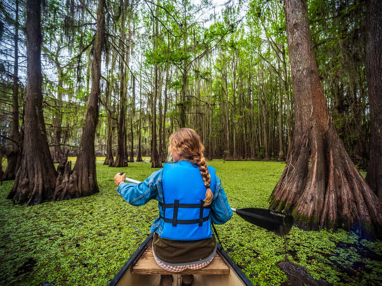 Caddo Lake State Park, Karnack