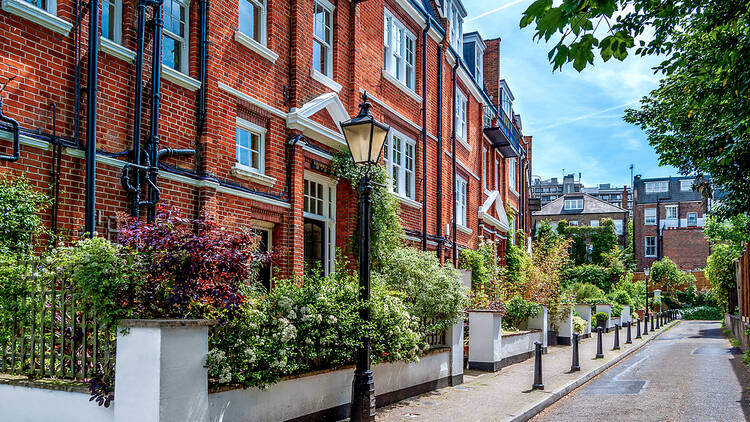 Residential street in Hampstead, north London