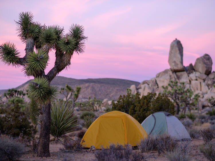 Amazing places to go camping near Los Angeles