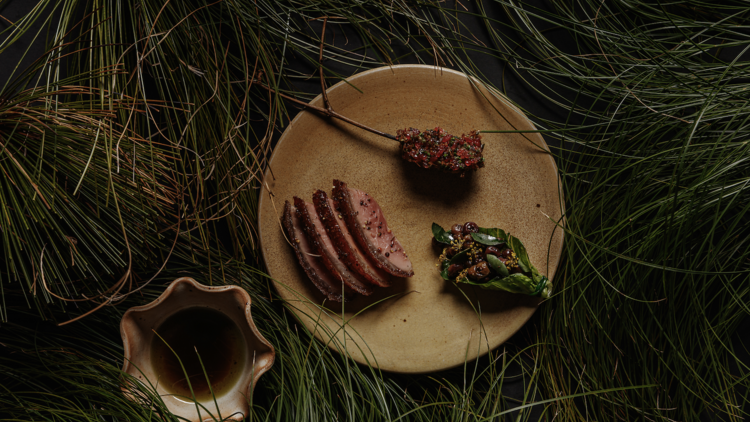 Plate of native Australian snacks 