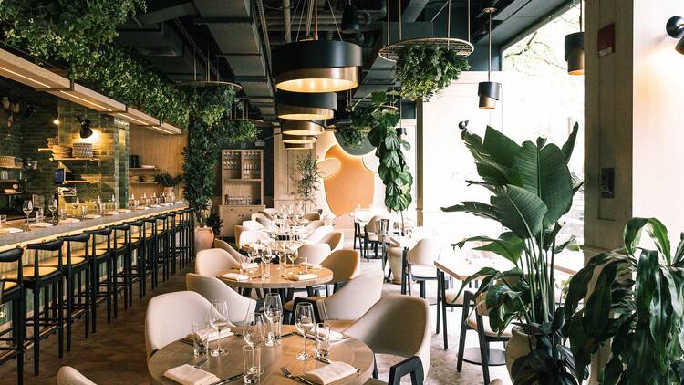 A Mediterranean restaurant with a hidden rooftop just opened in Chelsea