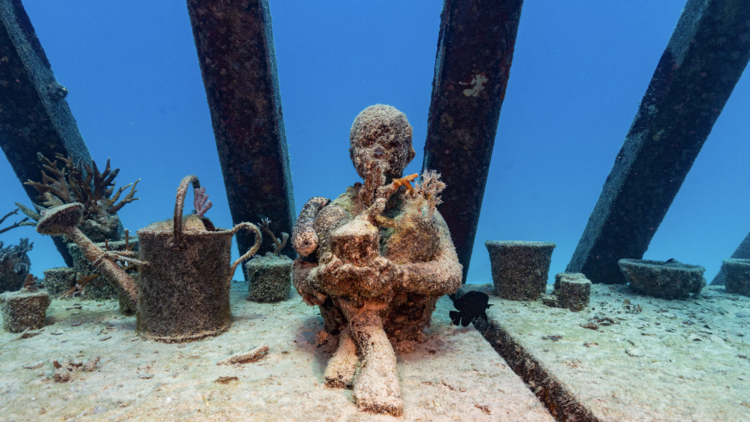 Museum of Underwater Art, QLD