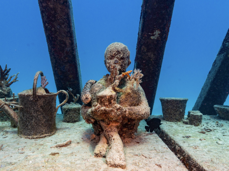 Museum of Underwater Art, QLD