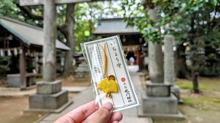 Ginkgo leaf-shaped Icho(Ginkgo)-mamori - Akasaka Hikawa Shrine