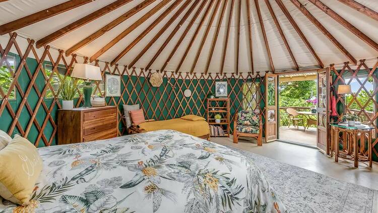 The jungle yurt in Captain Cook