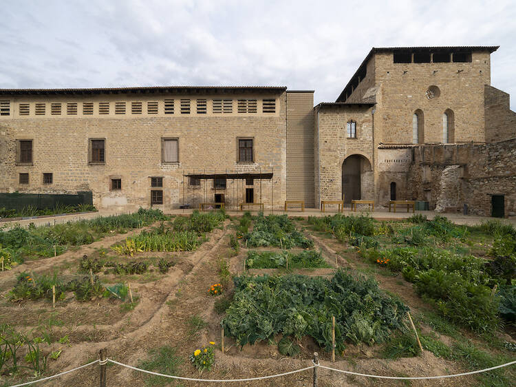 ¡El Monasterio de Pedralbes abre al público su Huerto Medieval!