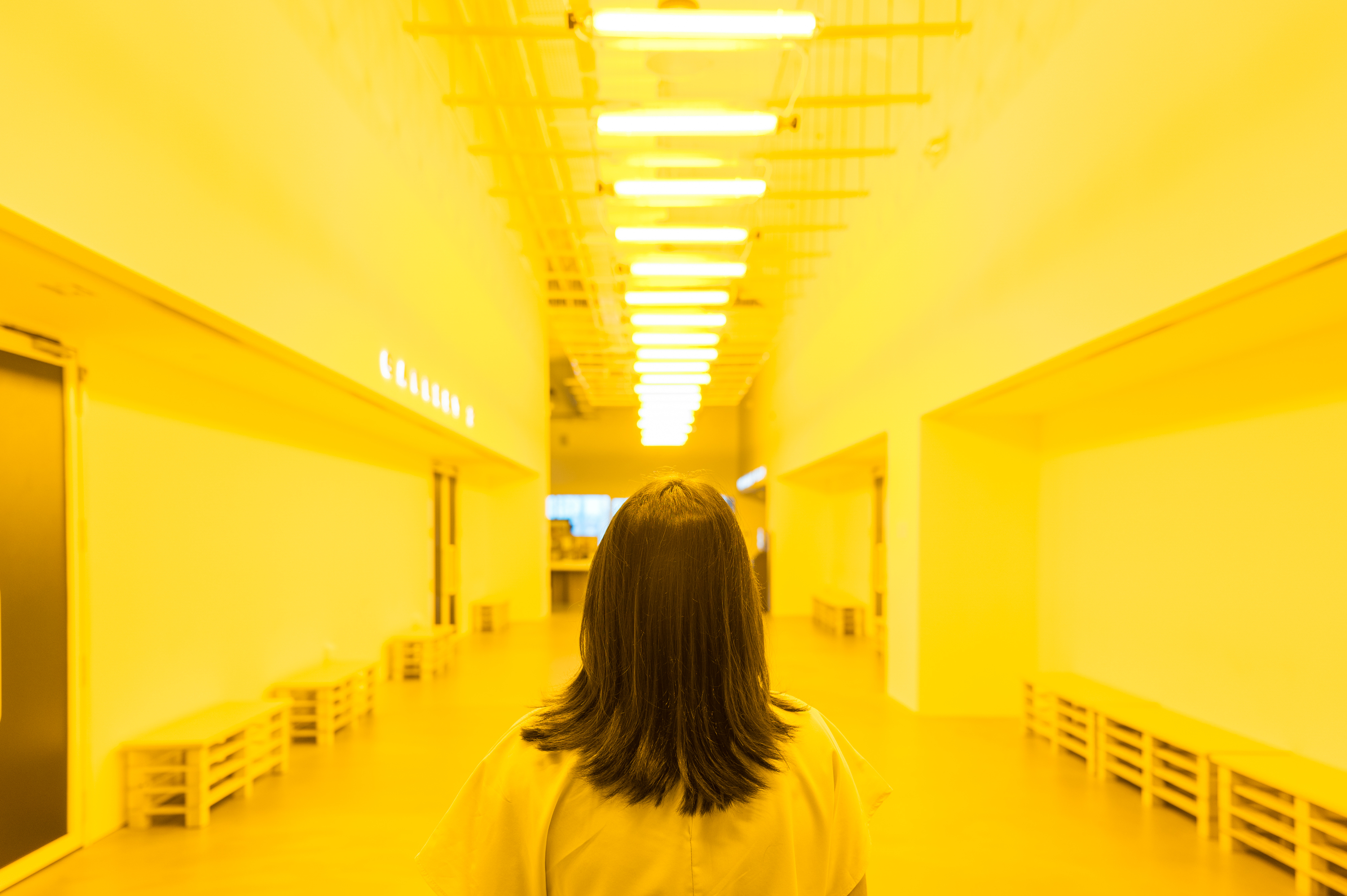 Olafur Eliasson