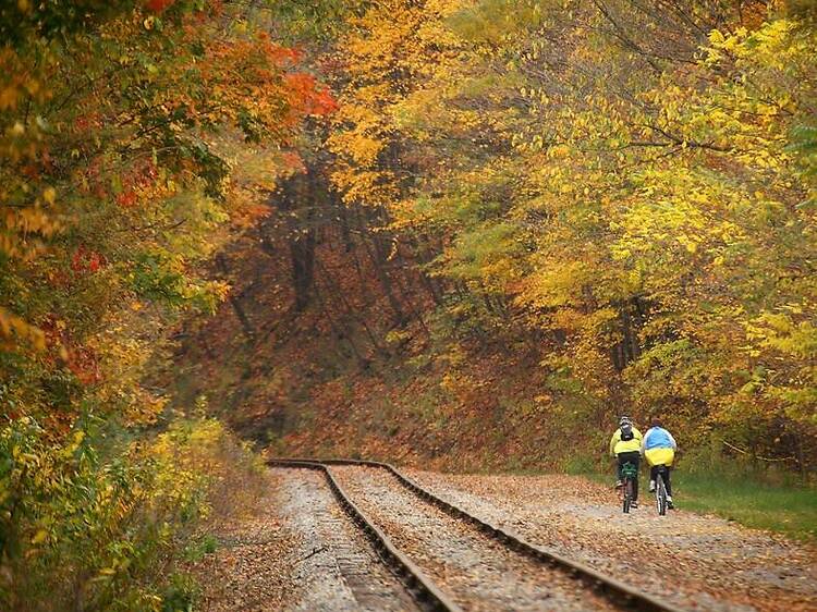 Great Allegheny Passage | PN and MD