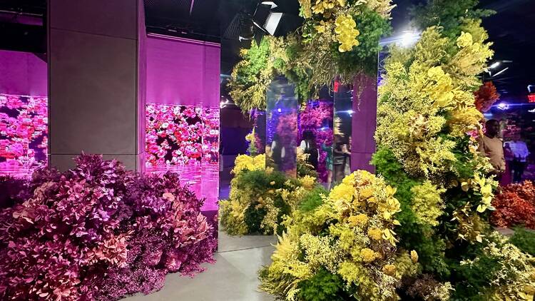 Floral installations inside Bloomtanica.