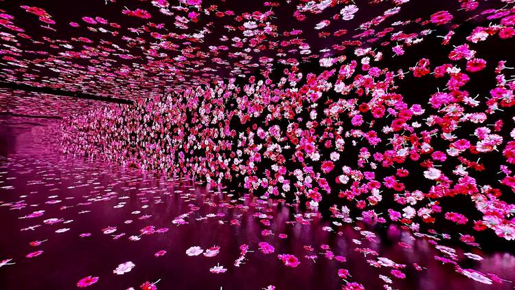 Digital floral installations inside Bloomtanica.