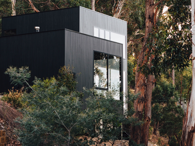 The design lover’s dream in West Hobart