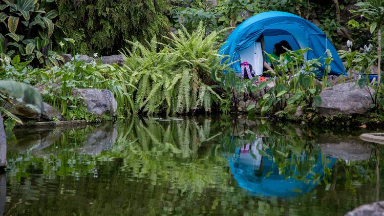 Acampar com Histórias