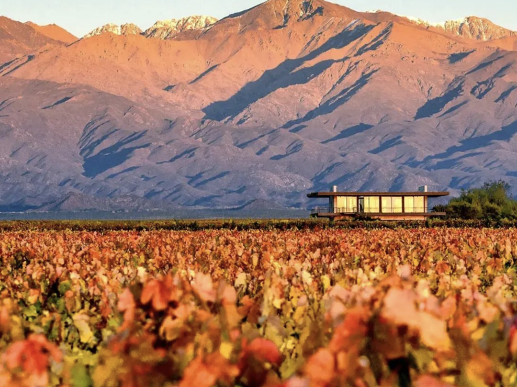 The best accommodations in wineries and vineyards in Mendoza