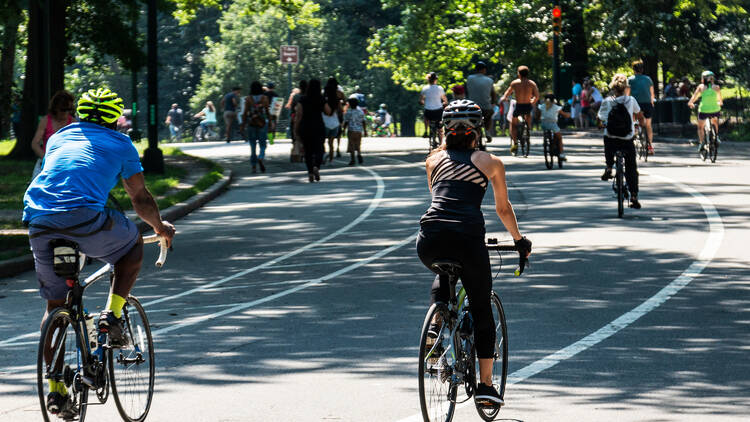 people biking at a park